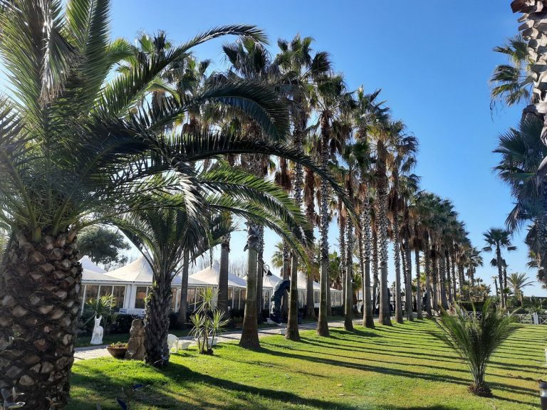 Cilento resort velia 2023 italiana vacanze_14